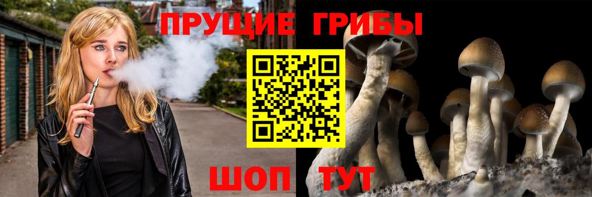 Галлюциногенные грибы прущие грибы  Вход с VPN  Моршанск 